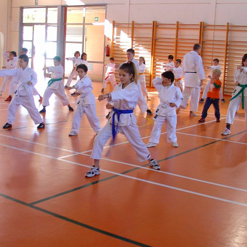 karate